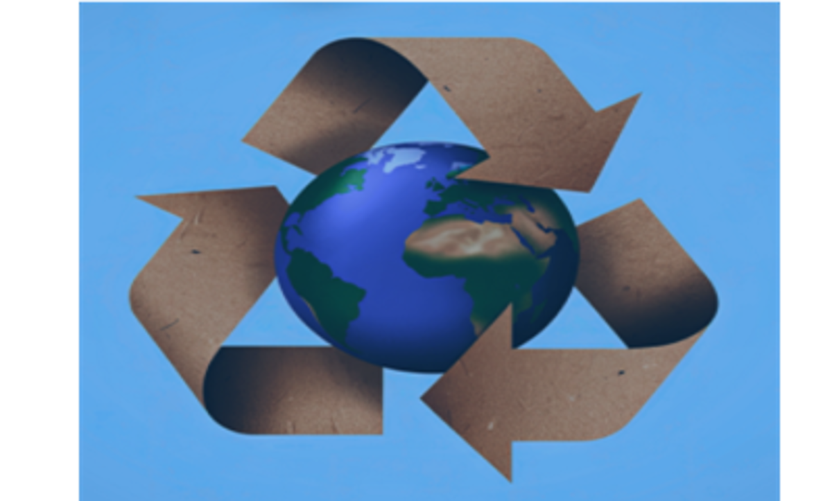 Featured image of DGC Sprouts Drive Through Recycling Event