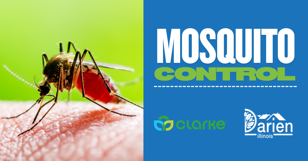 Featured image of Mosquito Activity Expected to Remain High